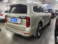 Tank 500 3.0T Business Edition 5 - ფოტო 2