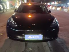 Tesla Model 3 556km Rear-Wheel Drive Edition - photo 3