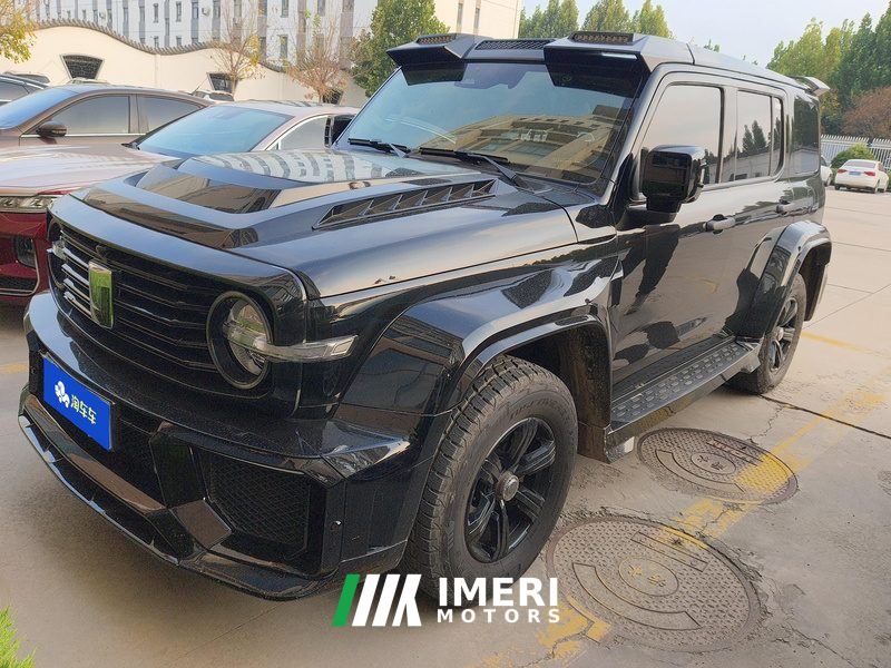 Tank 300 2.0T Conqueror - car from China