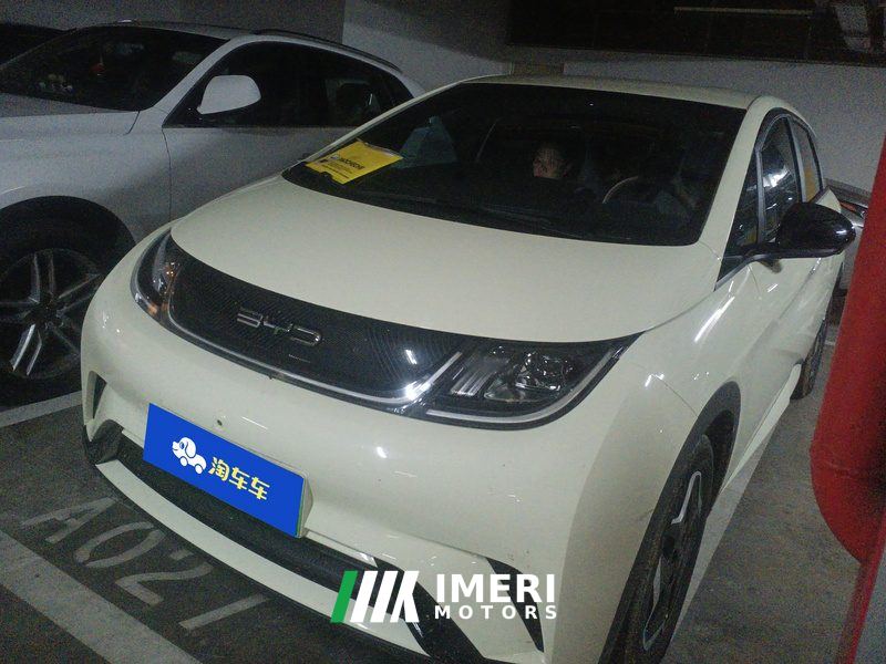 BYD Dolphin 405km Free Version