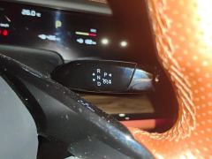 Neta S EREV Edition 310km 1160 Edition - ფოტო 19