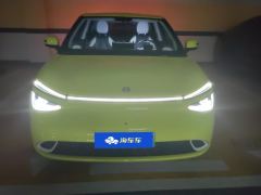Dongfeng Nammi 01 Yipai Nano 01 New version 330Plus Smart - photo 3