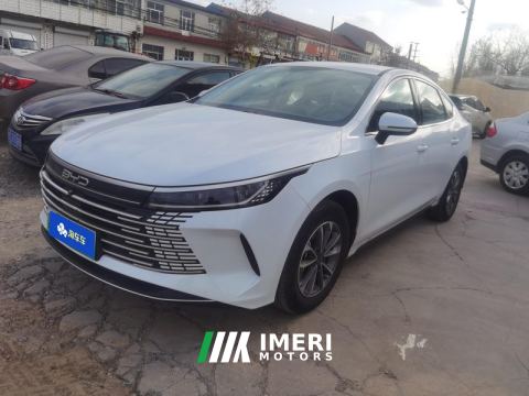 2024 BYD Destroyer 05 DM-i Honor Edition 1.5L 55km Luxury Edition