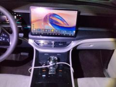 Denza D9 DM-i 1.5T 190km 4WD Premium 7-seater - photo 17