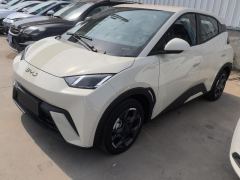 BYD Seagull 305km Free Version - photo 1