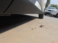 BYD Seagull 305km Free Version - photo 10