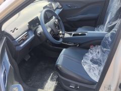 BYD Seagull 305km Free Version - photo 14