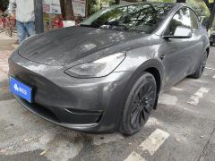 Tesla Model Y Standard endurance rear-wheel drive - photo 1