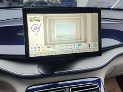 BYD Qin PLUS DM-i 55km Flagship - ფოტო 17
