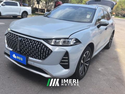 2021 Great Wall Mocha fuel 2.0T 2WD Edition