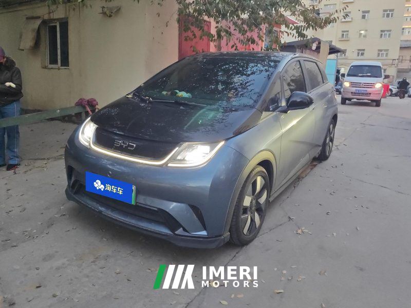 BYD Dolphin Honor Edition 401km Knight Edition