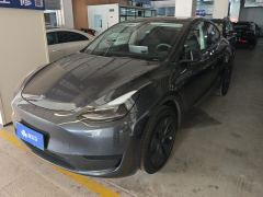 Tesla Model Y 554km Rear-Wheel Drive Edition - фото 1