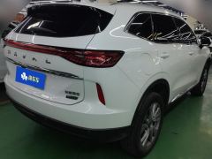 Haval H6 PHEV DHT—PHEV 55 - ფოტო 2