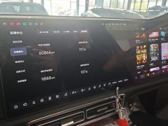 Li Auto L9 Max - photo 17