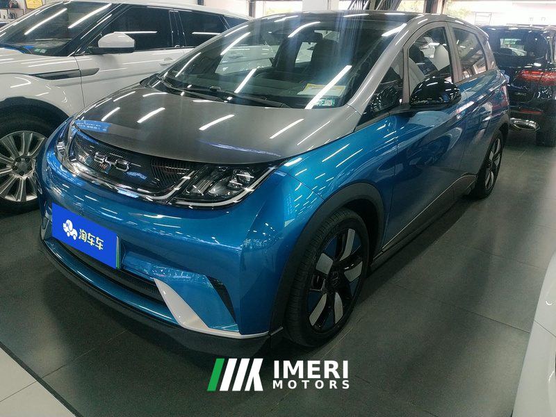 BYD Dolphin 401km Knight Edition