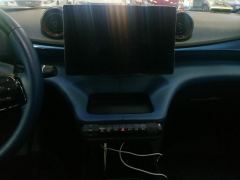 BYD Dolphin 401km Knight Edition - photo 17