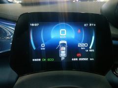BYD Dolphin 401km Knight Edition - photo 20
