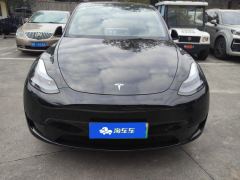 Tesla Model Y 554km Rear-Wheel Drive Edition - ფოტო 3