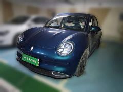 ORA Good Cat 401km Luxury - ფოტო 1