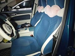 ORA Good Cat 401km Luxury - ფოტო 11