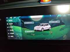ORA Good Cat 401km Luxury - ფოტო 20