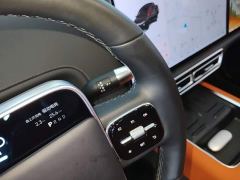 Li Auto L6 Pro - ფოტო 9