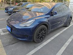 Tesla Model Y 545km Rear-Wheel Drive Edition - ფოტო 1