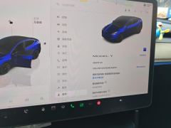 Tesla Model Y 545km Rear-Wheel Drive Edition - ფოტო 20