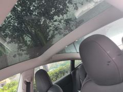 Tesla Model 3 556km Rear-Wheel Drive Edition - фото 15