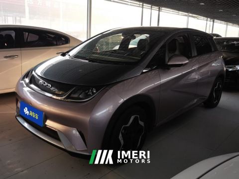 2021 BYD Dolphin 405km Stylish Edition - ავტომობილი ჩინეთიდან