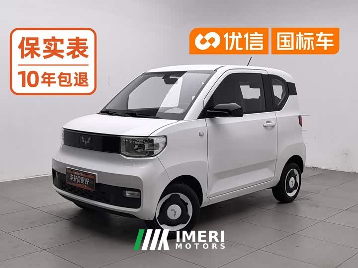 Wuling Hongguang MINIEV Zizai Edition LFP Battery
