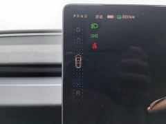 Tesla Model 3 Rear-Wheel Drive - ფოტო 13