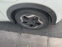 BYD Dolphin 405km Stylish Edition - ფოტო 6