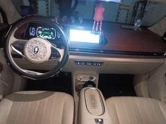 ORA Good Cat 401km Standard Range Luxury LFP - ფოტო 10
