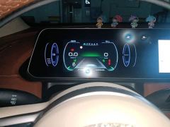 ORA Good Cat 401km Standard Range Luxury LFP - ფოტო 12