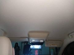 ORA Good Cat 401km Standard Range Luxury LFP - ფოტო 19