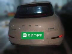ORA Good Cat 401km Standard Range Luxury LFP - ფოტო 5