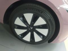 Tesla Model 3 606km Rear-Wheel Drive Edition - photo 6