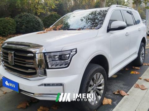 2023 Tank 500 New Energy 2.0T Hi4-T - автомобиль из Китая