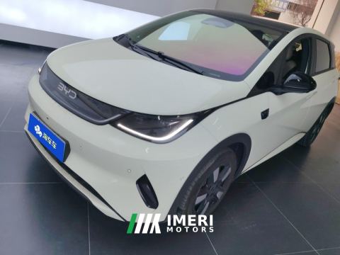 2025 BYD Dolphin Smart Driving Edition 410km Stylish Edition - ავტომობილი ჩინეთიდან