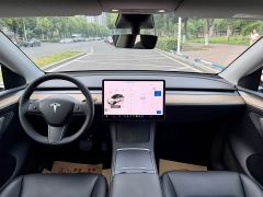 Tesla Model Y Facelift Long Range All-Wheel Drive - ფოტო 10
