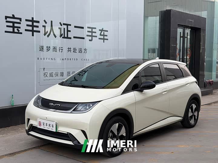 BYD Dolphin 420km Fashion Edition