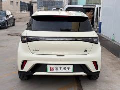 BYD Dolphin 420km Fashion Edition - фото 10