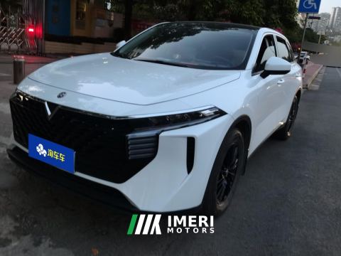 2023 Venucia V 260T Idol Edition Pro