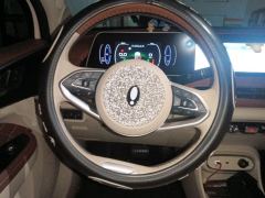 Ora Great Wall Good Cat 401km Luxury Edition - photo 11