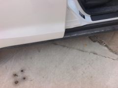 Haval M6 PLUS 1.5T Dual-clutch Elite Intelligent Connected Type - photo 10