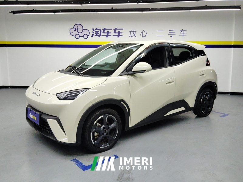 BYD Seagull 405km Flying Edition - car from China
