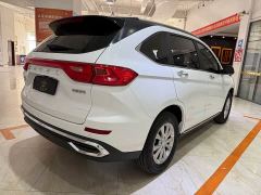 Haval M6 PLUS 1.5T DCT Luxury Smart Connected Edition - фото 4