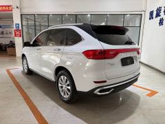 Haval M6 PLUS 1.5T DCT Luxury Smart Connected Edition - фото 6