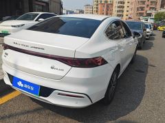BYD Qin PLUS DM-i 55km Flagship - фото 2